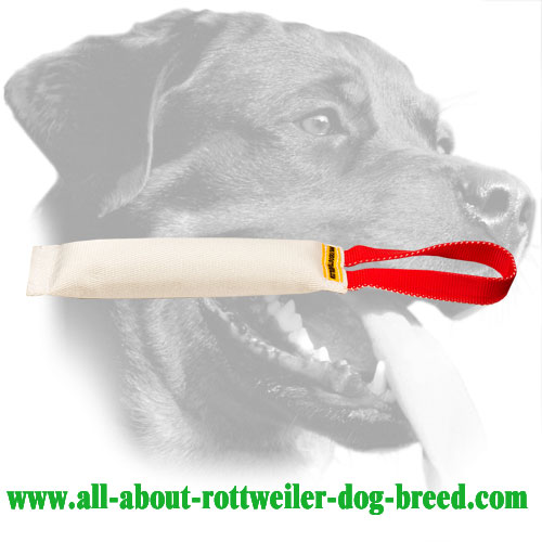 Fire Hose Rottweiler Bite Tug with Safe Stuffing