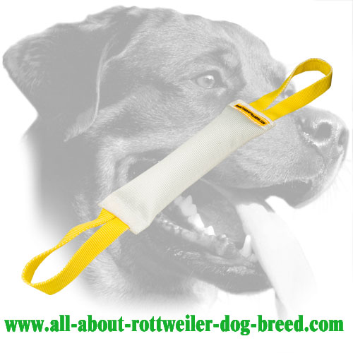 Fire Hose Rottweiler Bite Tug with Two Handles