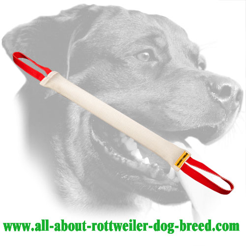 Fire Hose Rottweiler Bite Tug with Double Stitching