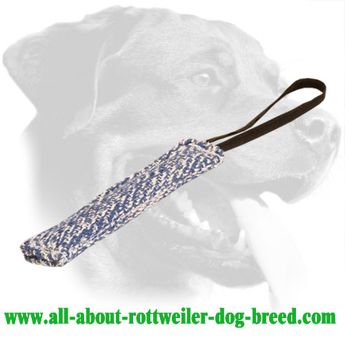 One Handle French Linen Rottweiler Bite Tug