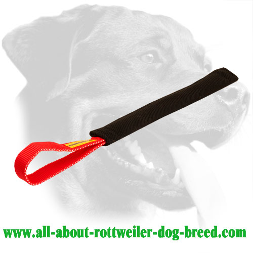 Retrieve Training French Linen Rottweiler Bite Tug