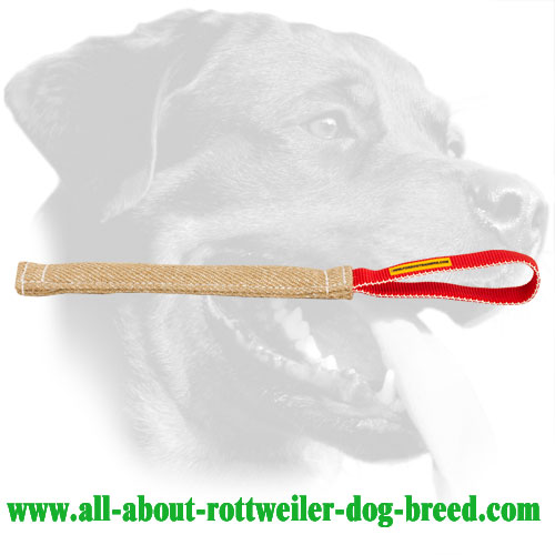 Compact Jute Bite Tug for Rottweiler Training