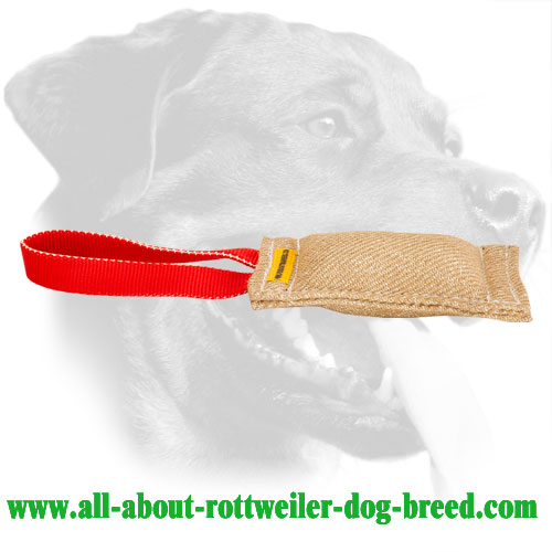 Rottweiler Bite Tug Made of Jute With a Durable Handle