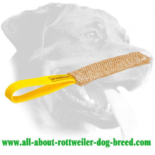 Durable Jute Bite Tug for Training Rottweilers