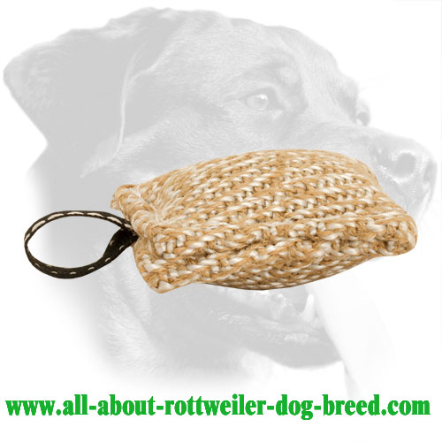 Extra Small Rottweiler Bite Tug Made of Jute