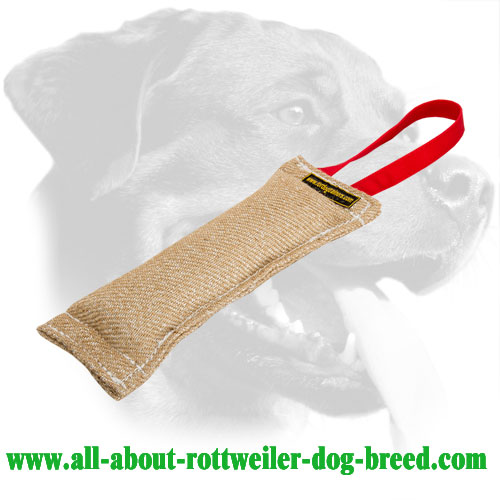 Rottweiler Bite Tug Made of Extra Durable Jute