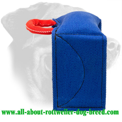 Rottweiler Foldable Jute Bite Tug