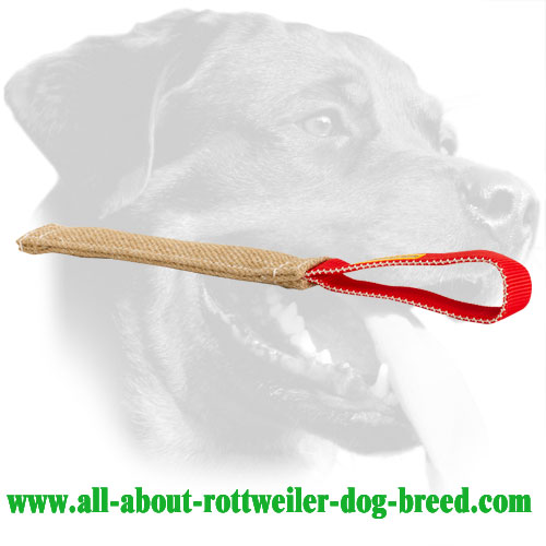 Rottweiler Bite Tug Made of Jute with a Comfy Handle