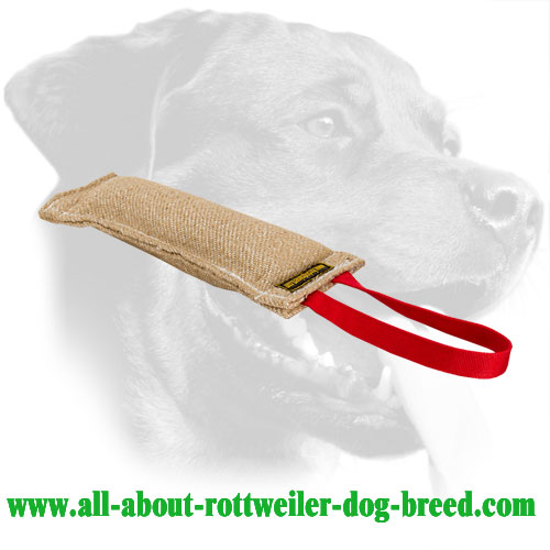 Jute Rottweiler Bite Tug Equipped With a Long Handle