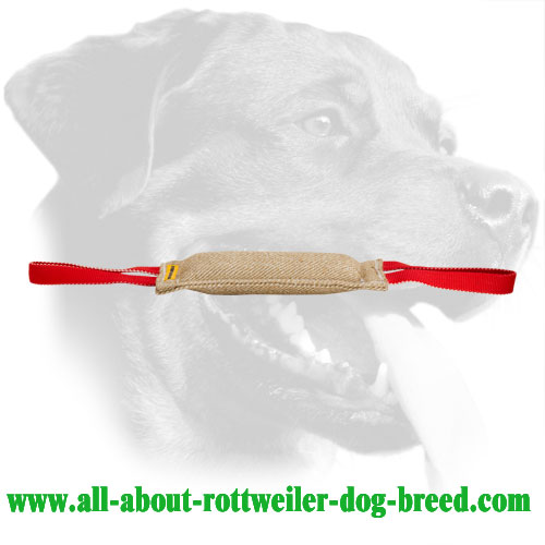 Rottweiler Bite Tug Made of Jute for Developing Prey Drive