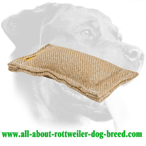 Rottweiler Bite Tug for Prey Drive Development Made of Jute