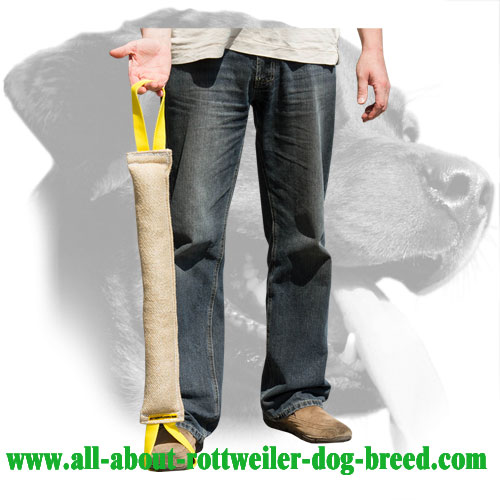 Properly Stuffed Rottweiler Bite Tug Made of Jute