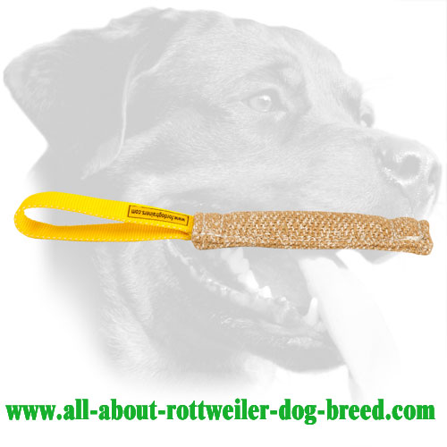 Rottweiler Active Training Bite Tug Made of Jute