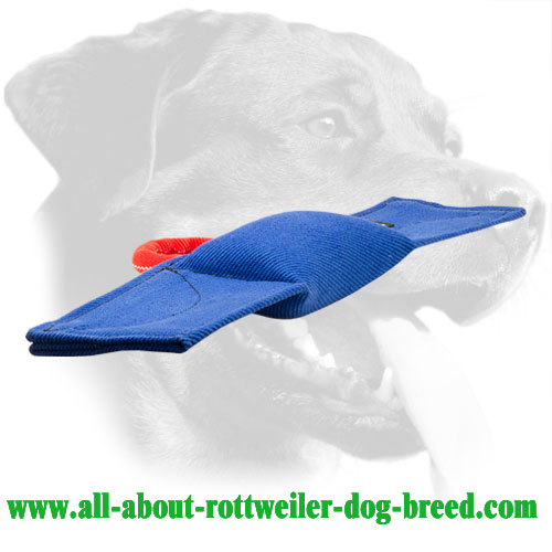 Jute Rottweiler Bite Tug for Schutzhund