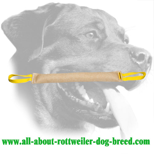 Rottweiler Bite Tug Made of Jute With Two Handles 