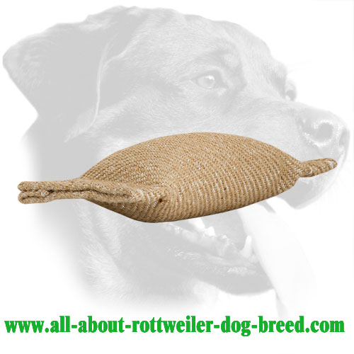 Rottweiler Bite Tug Made of Jute with Stitched Edges