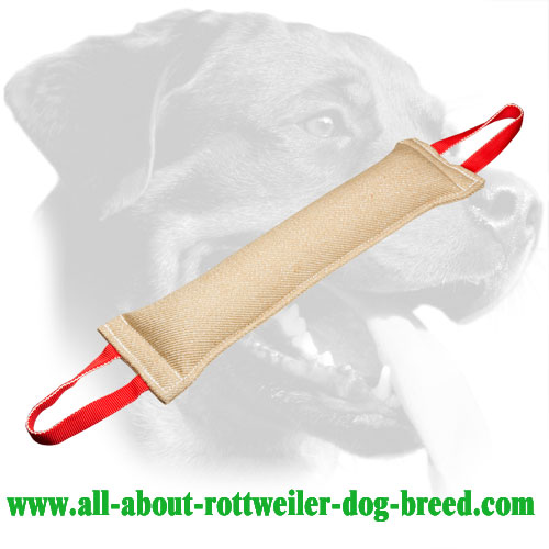 Rottweiler Bite Tug With Comfortable Handles Made of Jute