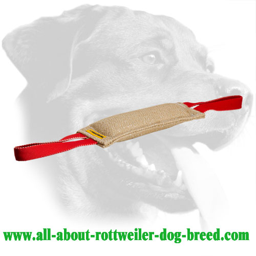 Jute Rottweiler Bite Tug with Two Handles