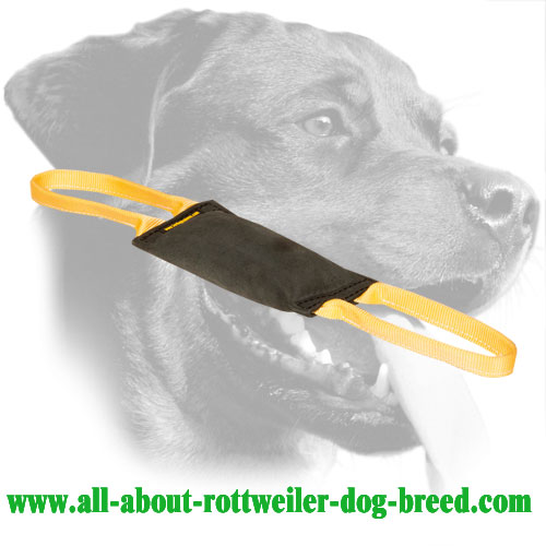 Leather Rottweiler Bite Tug with Double Stitching