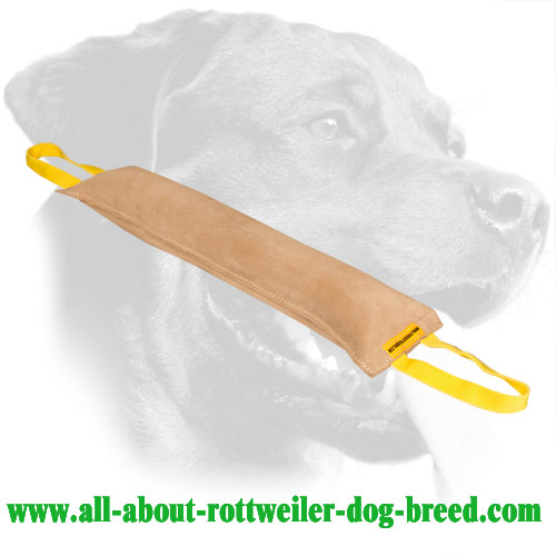 Hypoallergenic Rottweiler Bite Tug Made of Leather