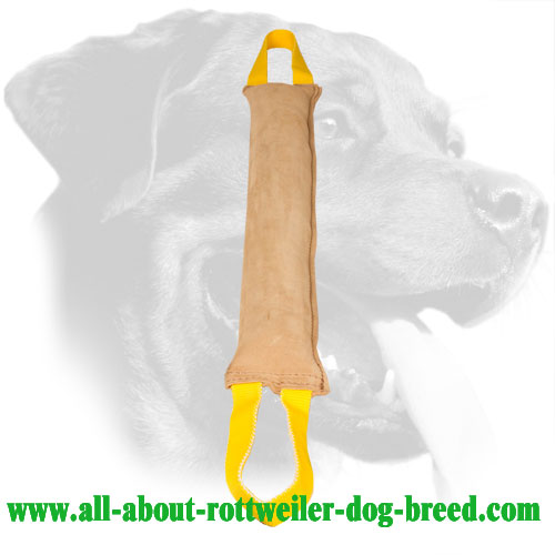 Rottweiler Bite Tug for Obedience Training Made of Leather