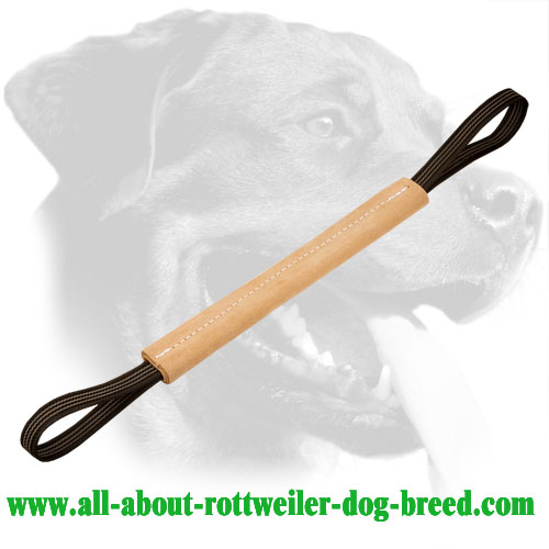 Genuine Leather Rottweiler Bite Tug with Stitched Edges