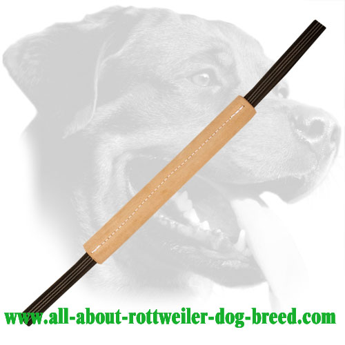 Leather Rottweiler Bite Tug with Improved Durability