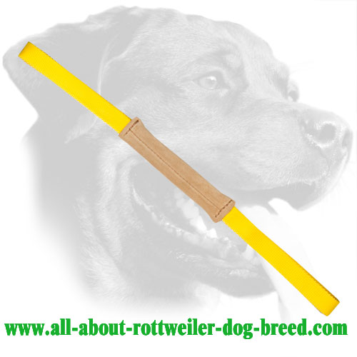 Genuine Leather Rottweiler Bite Tug with Two Handles