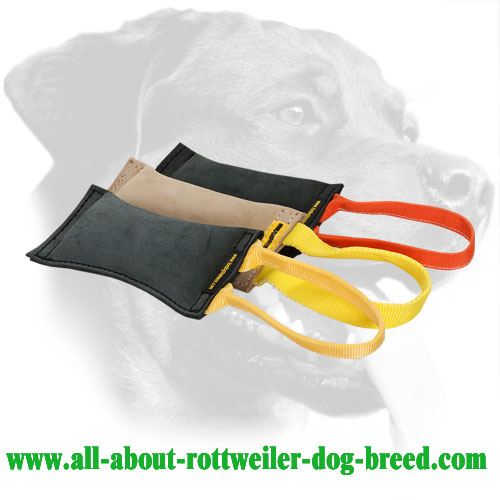 Genuine Leather Rottweiler Bite Tugs Equipped With One Handle