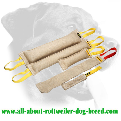 Five Items Jute Rottweiler Dog Bites Set