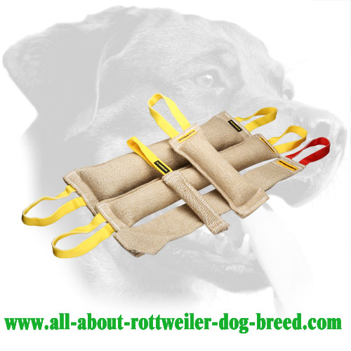 Set of Jute Rottweiler Bite Tugs with Proper Stuffing