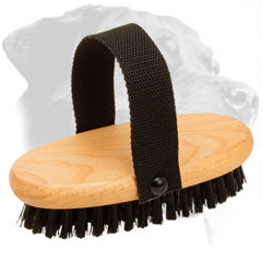 Wooden Rottweiler Brush Equipped with Nylon Handle