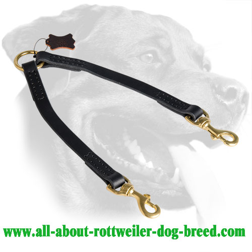 Leather Rottweiler Coupler Equipped with Brass Snap Hooks