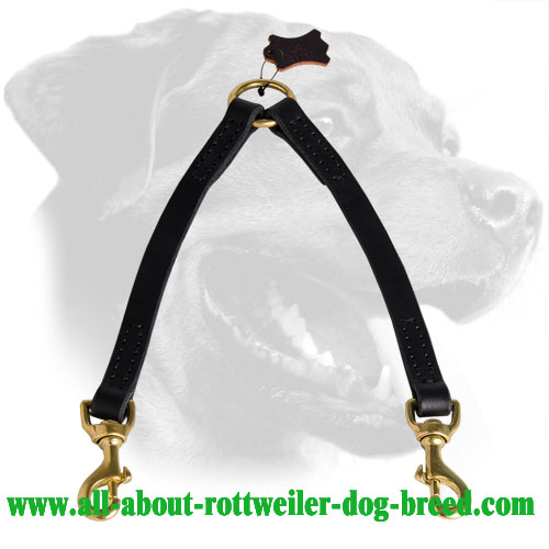 Rottweiler Coupler Made of Stitched Leather