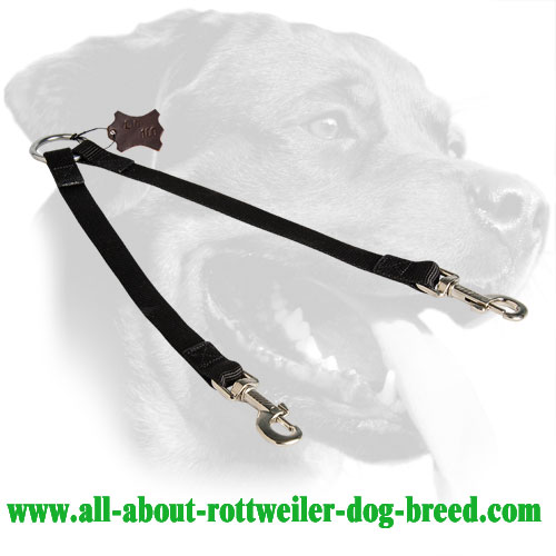 Nylon Rottweiler Coupler Equipped with Two Nickel Snap Hooks