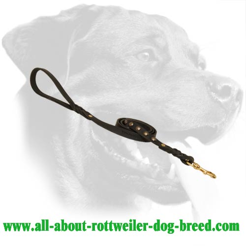 Tearproof Rottweiler Leather Dog Leash