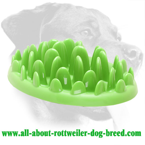 how much do rottweilers eat large plastic rottweiler feeder for healthy ka17 1075 interactive pet how much do rottweilers eat large plastic rottweiler feeder for healthy ka17 1075 interactive pet