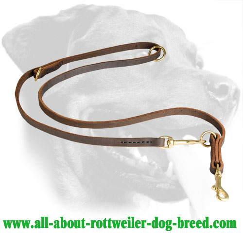 Leather Rottweiler Leash Equipped with Brass Snap Hook