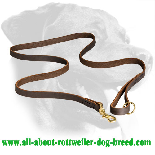 Leather Rottweiler Leash Equipped with Brass Snap Hook