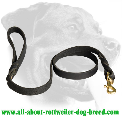 Leather Rottweiler Leash Equipped with Brass Snaphook