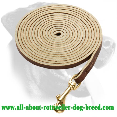 Leather Rottweiler Leash Equipped with Brass Snaphook