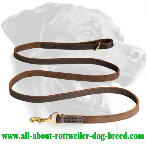 Leather Rottweiler Leash with Stitched Edges