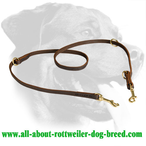 Rottweiler Dog Universal Leather Leash