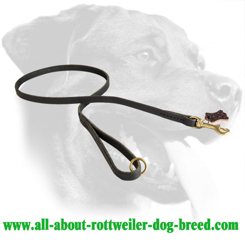 Rottweiler Leash Made of Leather with Smoothed Edges