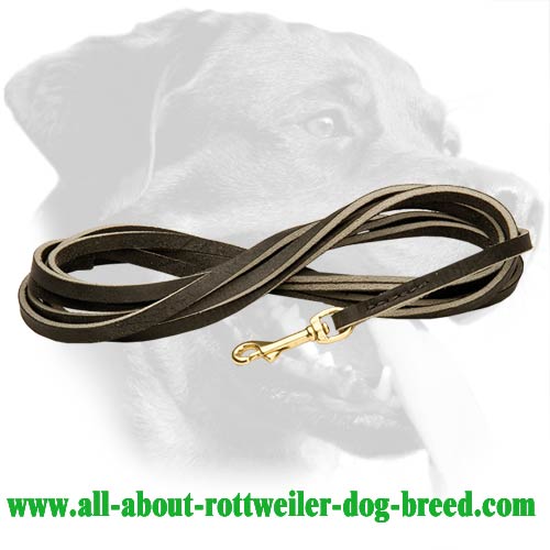 Leather Rottweiler Leash Stitched on Edges