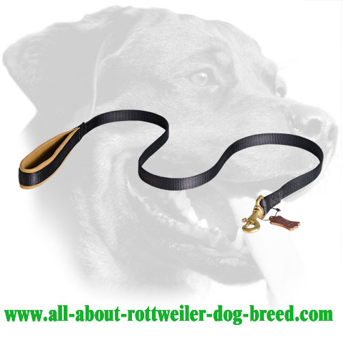 Nylon Rottweiler Leash Equipped with Brass Snap Hook