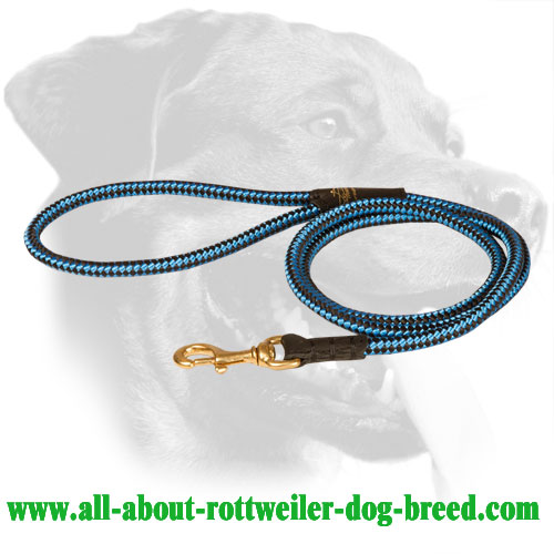 Nylon Rottweiler Leash Equipped with Brass Snap Hook