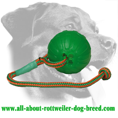 Foam Rottweiler Retrieve Ball with Dotted Surface