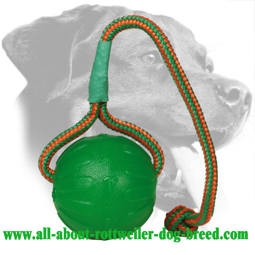 Foam Rottweiler Retrieve Ball with Rope Handle