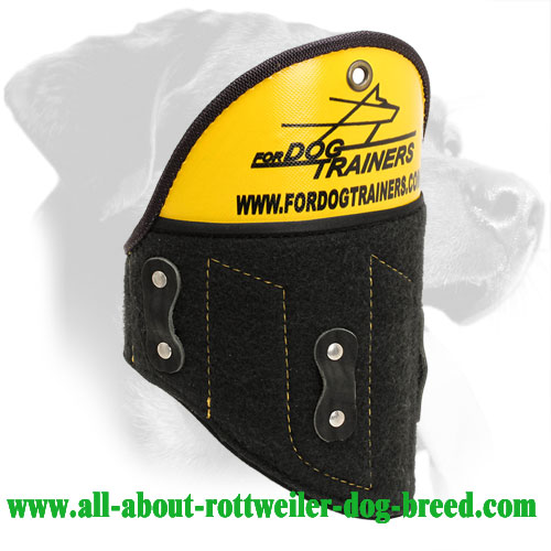 Removable Rottweiler Shoulder Protector Made of Plastic